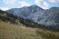 wheeler-peak